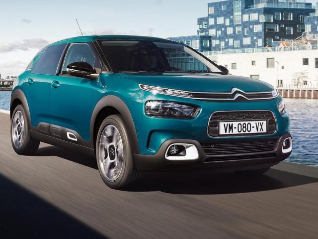 C4 Cactus