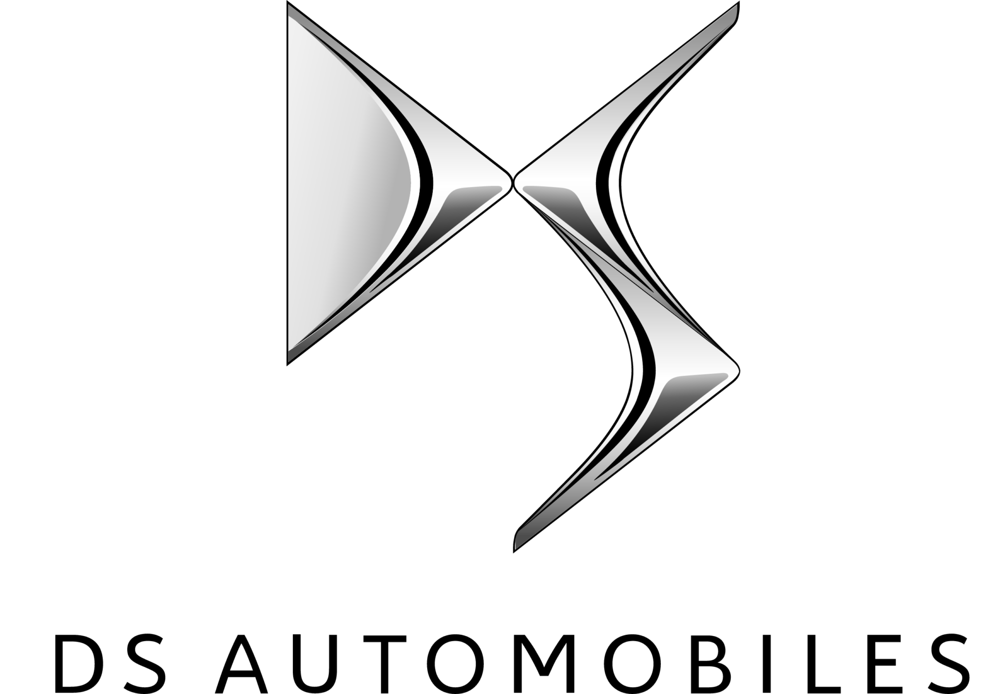 Logo DS