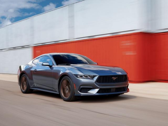 Fastback 2023 (2023 - teraz)