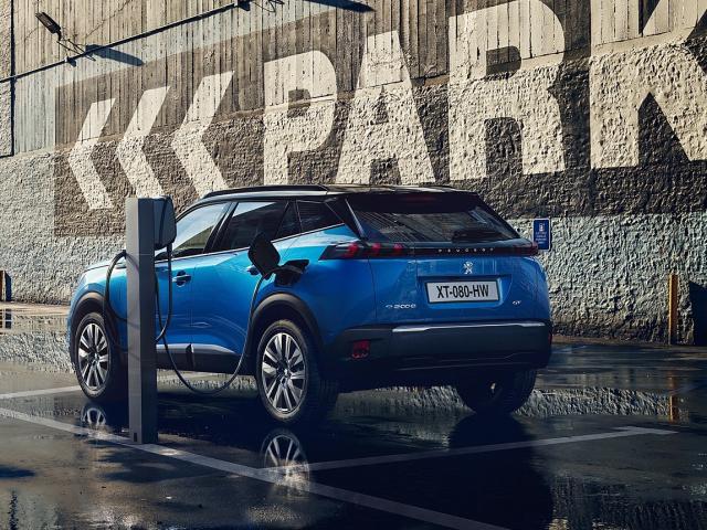e-SUV (2019 - 2023)