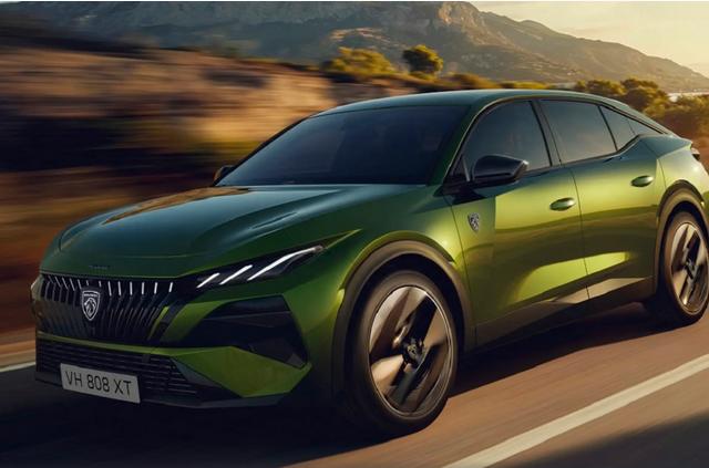 Fastback (2025 - teraz)