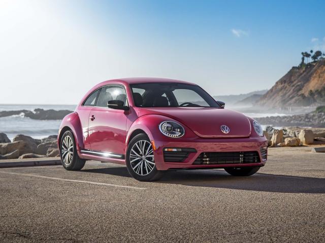 Beetle